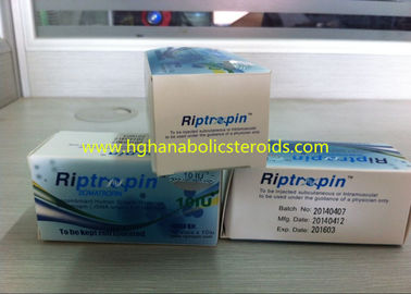 China Hormona de crecimiento humano recombinante natural de los esteroides anabólicos de Riptropin HGH para el varón proveedor